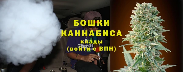 ГАЛЛЮЦИНОГЕННЫЕ ГРИБЫ Балахна