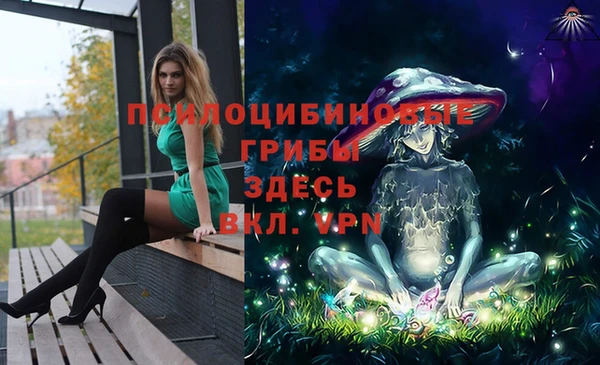 ГАЛЛЮЦИНОГЕННЫЕ ГРИБЫ Балахна
