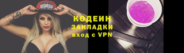ГАЛЛЮЦИНОГЕННЫЕ ГРИБЫ Балахна