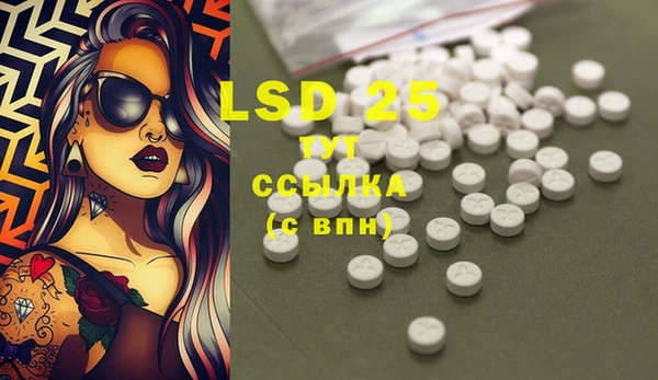 ГАЛЛЮЦИНОГЕННЫЕ ГРИБЫ Балахна