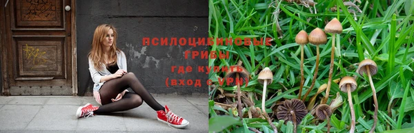 ГАЛЛЮЦИНОГЕННЫЕ ГРИБЫ Балахна