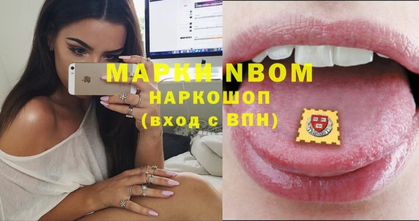 ГАЛЛЮЦИНОГЕННЫЕ ГРИБЫ Балахна