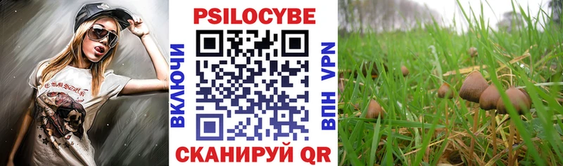 купить наркотик  hydra   Псилоцибиновые грибы прущие грибы  Белореченск 